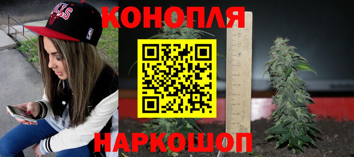 Волгодонск  Шишки марихуана тримм  Бошки Шишки марихуана  Вход с VPN  Марихуана тримм 